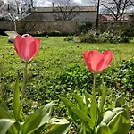 Au Clos Des Figues