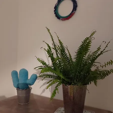 Au Clos Des Figues Penzion Chambon (Vendee)