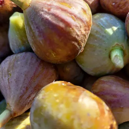 Penzion Au Clos Des Figues 3*