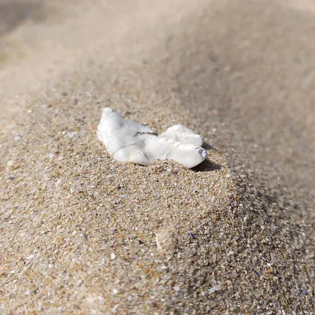 Au Clos Des Figues 3* Chambon (Vendee)