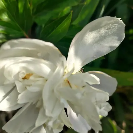 Au Clos Des Figues Penzion