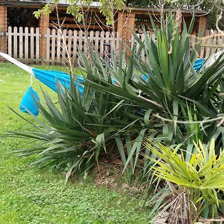 Au Clos Des Figues Penzion Chambon (Vendee)