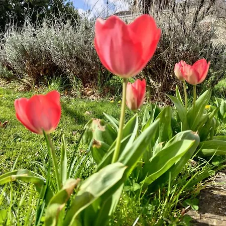 Au Clos Des Figues Penzion 3*