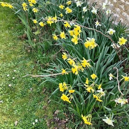 Au Clos Des Figues Penzion 3*