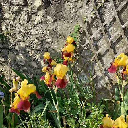 Penzion Au Clos Des Figues 3*