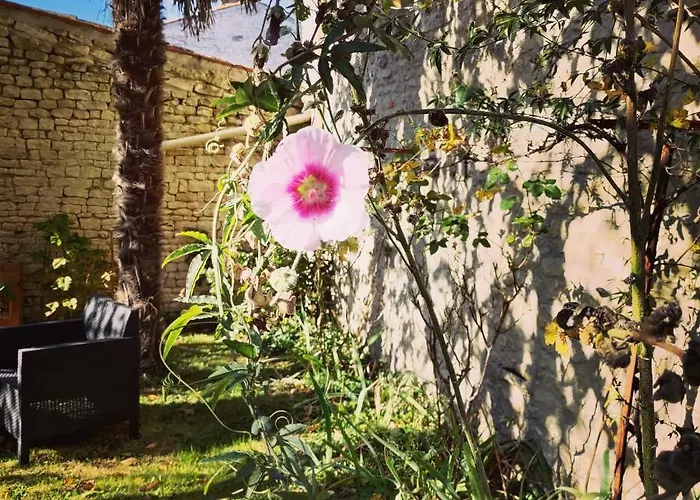 Au Clos Des Figues 3* Chambon (Vendee)