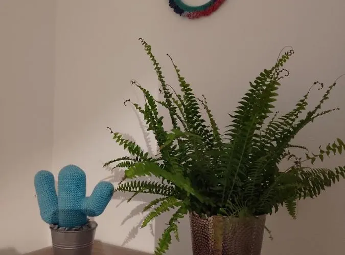 Au Clos Des Figues Casa de hóspedes Chambon (Vendee)