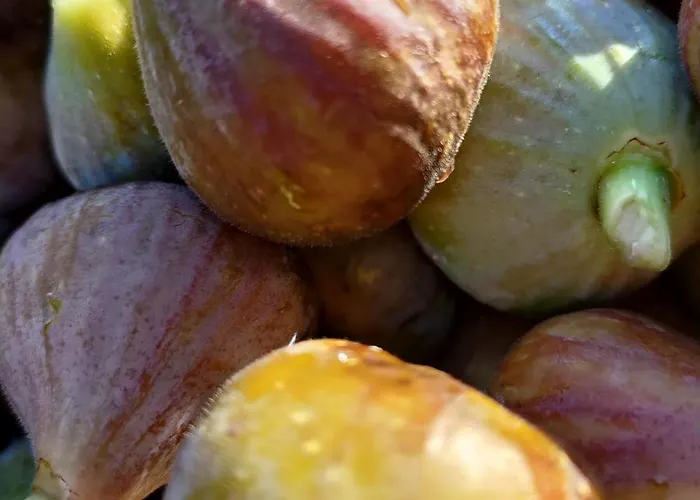 Casa de hóspedes Au Clos Des Figues 3*