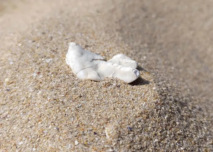 Au Clos Des Figues 3* Chambon (Vendee)