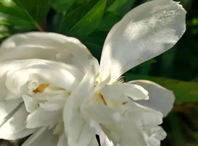 Au Clos Des Figues Casa de hóspedes