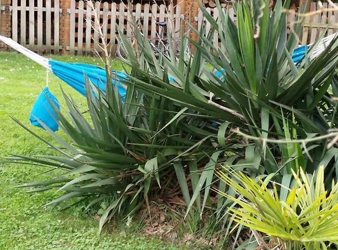 Au Clos Des Figues Casa de hóspedes Chambon (Vendee)