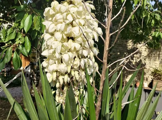 Au Clos Des Figues Casa de hóspedes 3*