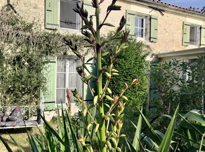 Au Clos Des Figues 3* Chambon (Vendee)