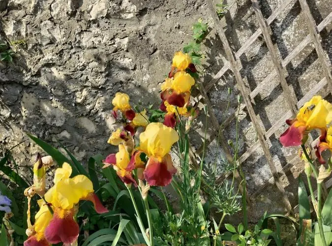 Casa de hóspedes Au Clos Des Figues 3*